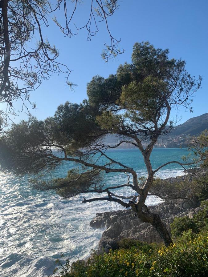 Castiello B&B Roquebrune-Cap-Martin Eksteriør bilde